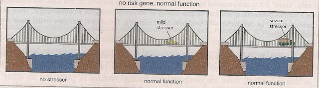 கம்பிகளும் தூண்களும்… scan0001